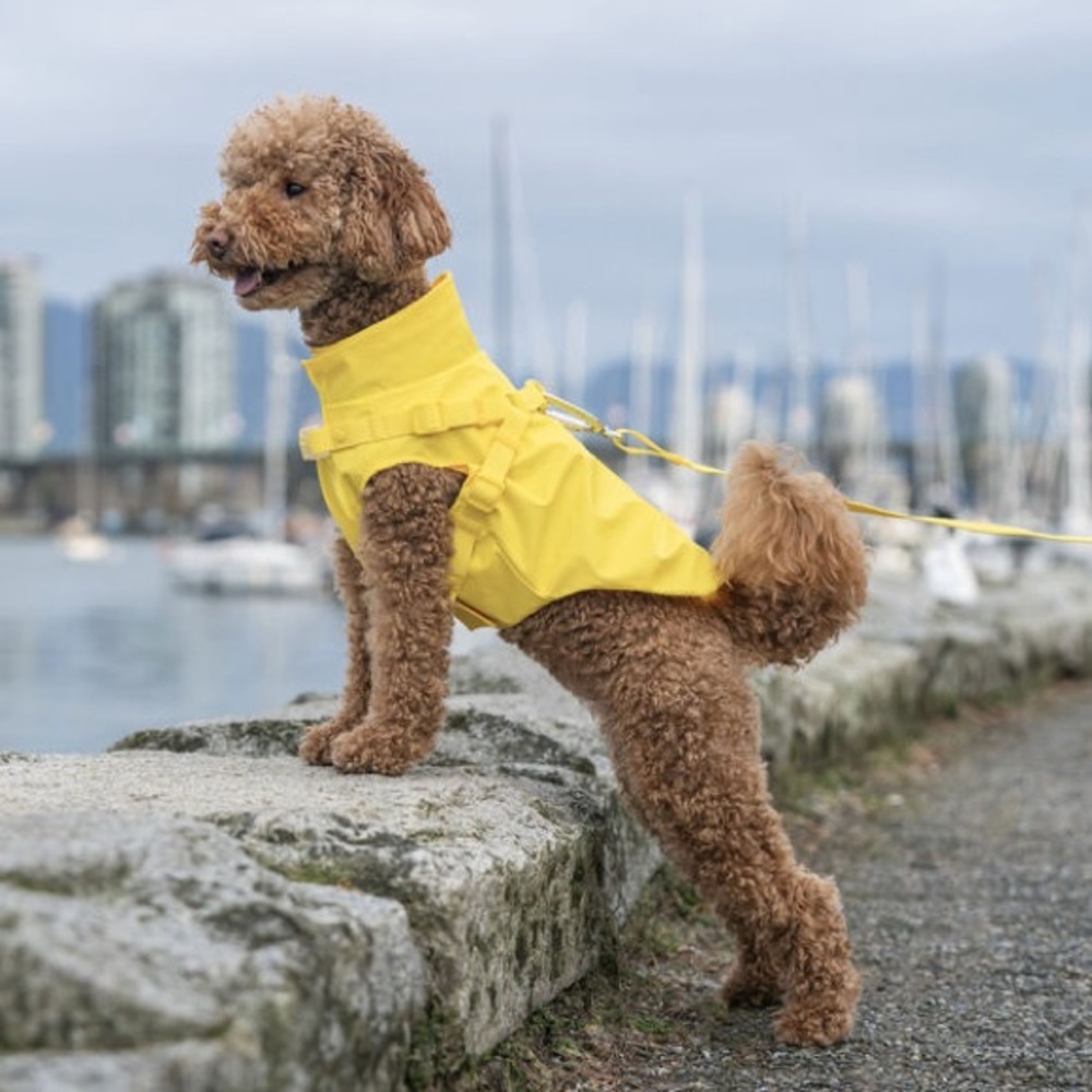 Canada Pooch Yellow Harness Raincoat for Dogs